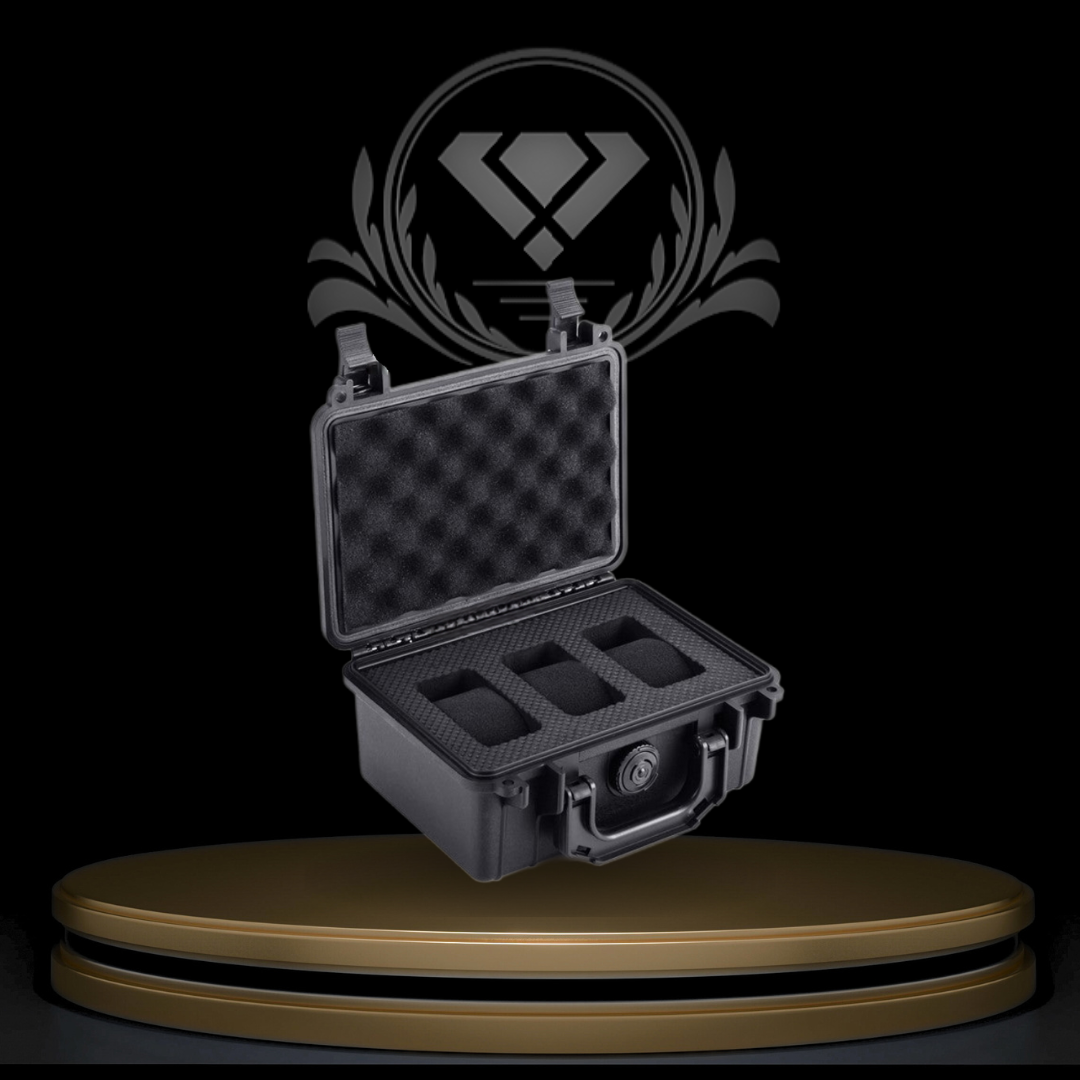 DW DESIGNS SECURE CASE 3